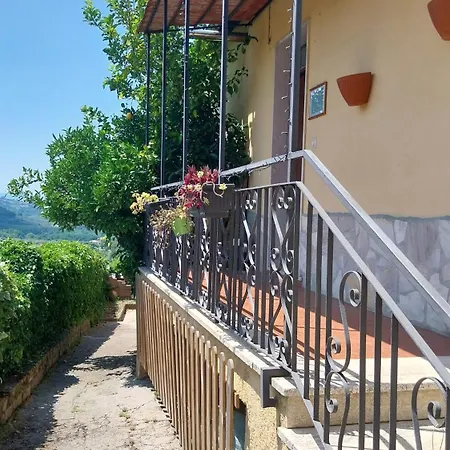 Hébergement de vacances L'amedeo *